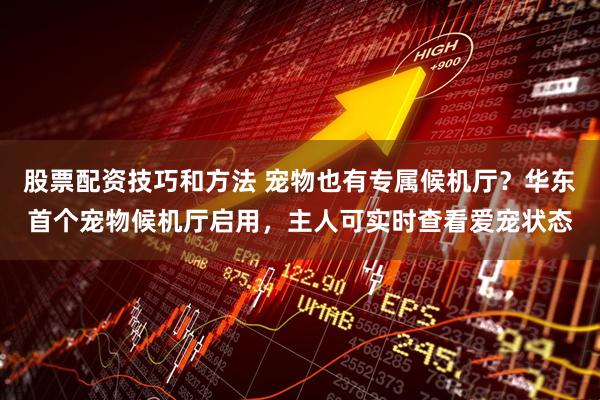 股票配资技巧和方法 宠物也有专属候机厅？华东首个宠物候机厅启用，主人可实时查看爱宠状态