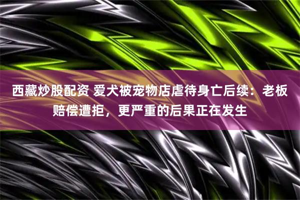 西藏炒股配资 爱犬被宠物店虐待身亡后续：老板赔偿遭拒，更严重的后果正在发生