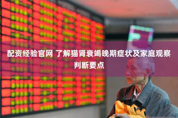 配资经验官网 了解猫肾衰竭晚期症状及家庭观察判断要点